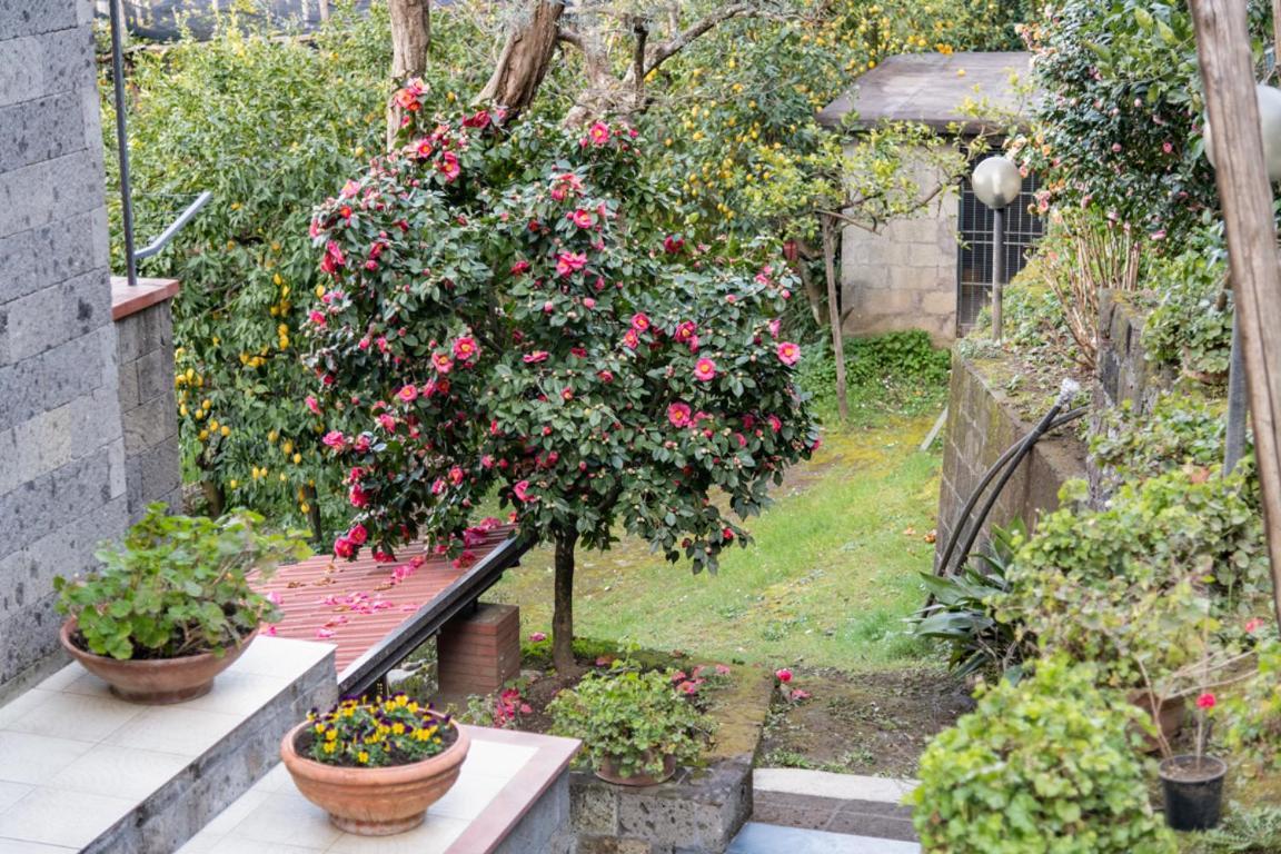 Sorrentovibes - Sea View Rooftop Apartment With Jacuzzi & Garden Esterno foto