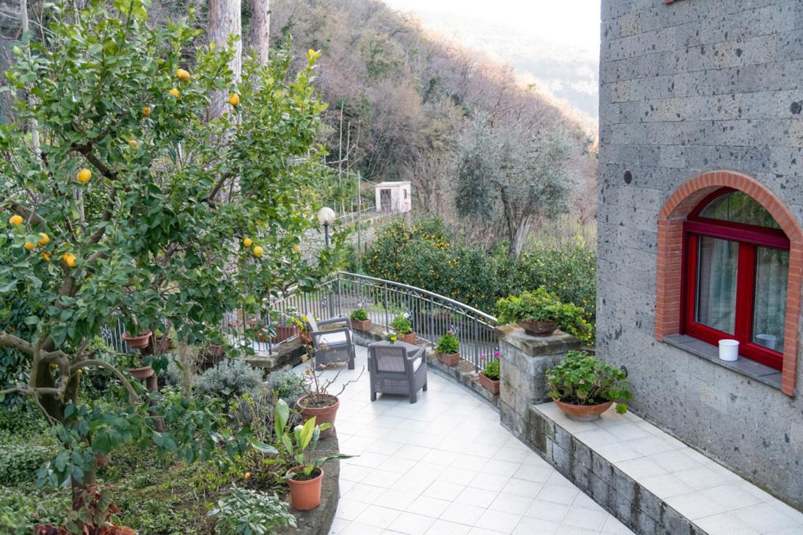 Sorrentovibes - Sea View Rooftop Apartment With Jacuzzi & Garden Esterno foto